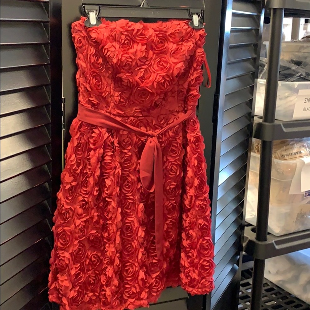 Chiffon mini rose patterned dress